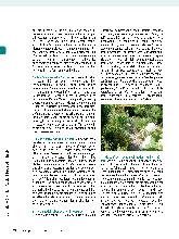 Vorschauseite 5: Wohlfühlgärtnern!