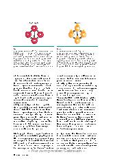 Vorschauseite 5: Richtiger Umgang mit Blutkomponenten Transfusionsmedizinische Grundlagen