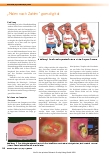 Vorschauseite 1: "Malen nach Zahlen" goes digital