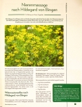 Vorschauseite 1: Nierenmassage nach Hildegard von Bingen