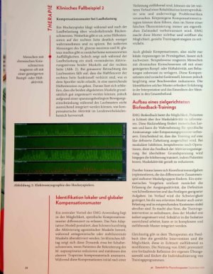 Vorschauseite 3: Die Sprache der Muskeln Elektromyographie in Therapie und Training
