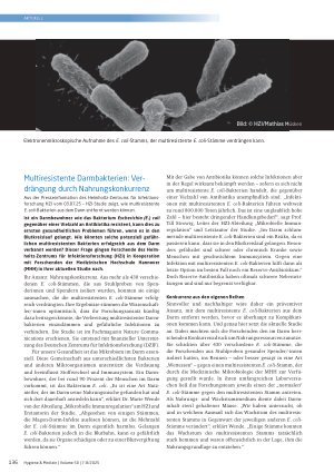 Vorschauseite 1: Multiresistente Darmbakterien: Verdrängung durch Nahrungskonkurrenz