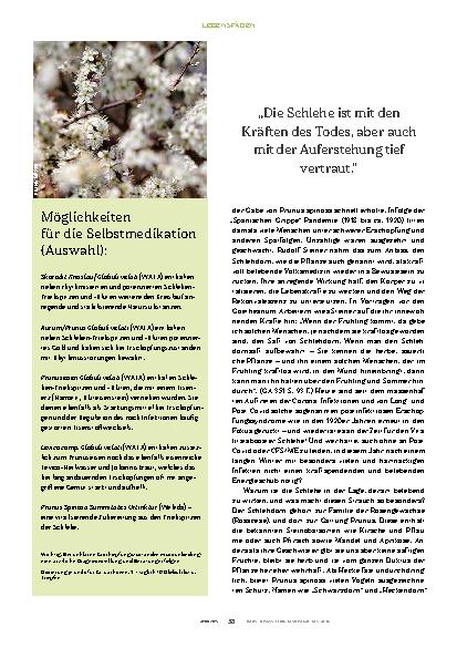 Vorschauseite 3: Vitalitäts-Booster Schlehe