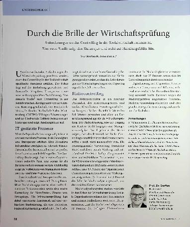 Vorschauseite 1: Durch die Brille der Wirtschaftsprüfung