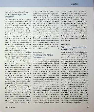 Vorschauseite 2: Durch die Brille der Wirtschaftsprüfung