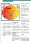 Vorschauseite 5: Methodenübergreifende Prinzipien in der Stimmtherapie