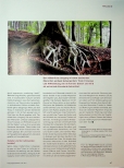Vorschauseite 4: Der Trost der Mutter Erde: Kulturübergreifende Vorstellungen von mütterlichen Erdgöttinnen prägen unseren Umgang mit Geburt und Tod.