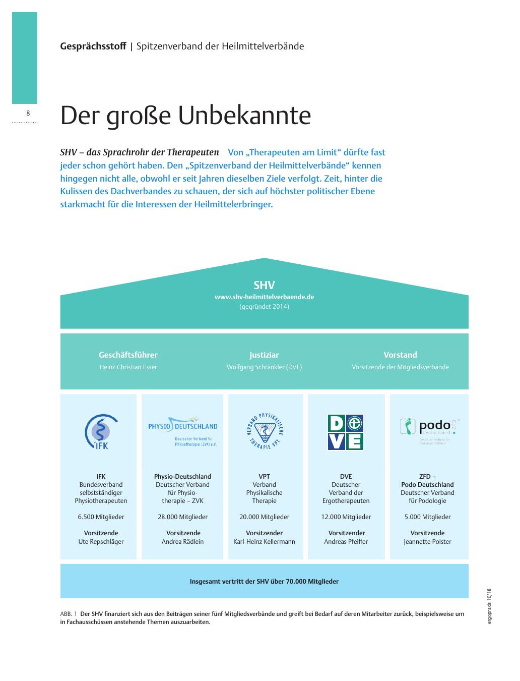 Vorschauseite 1: Spitzenverband der Heilmittelverbände ? Der große Unbekannte