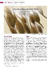 Vorschauseite 1: Mycoplasma pneumoniae