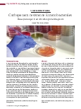 Vorschauseite 1: Carbapenemresistente Enterobacterales: Herausforderungen in der mikrobiologischen Diagnostik