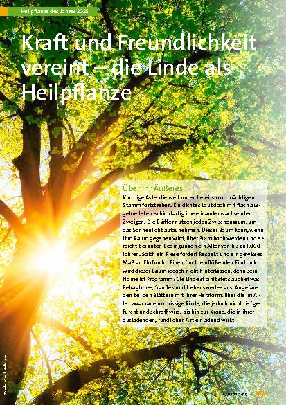Vorschauseite 1: Kraft und Freundlichkeit vereint – die Linde als Heilpflanze