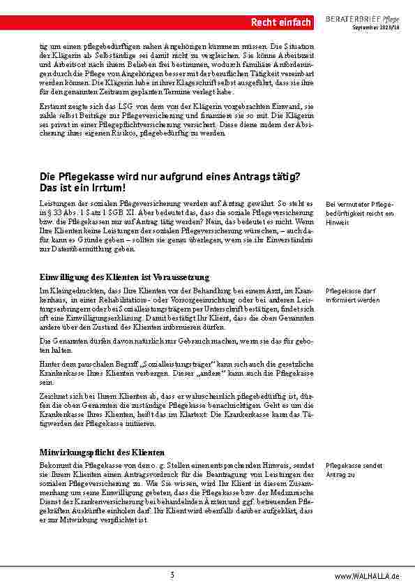 Vorschauseite 3: Zusammenfassung Beraterbrief Pflege