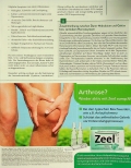 Vorschauseite 4: Silent Inflammation - Trigger für chronische Erkrankungen. Ursachen - Diagnose - Therapie