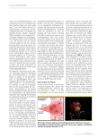Vorschauseite 4: Der Studiengang „Medizinische Physik“