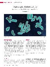 Vorschauseite 1: Malassezia-Hefen (Teil 1) Kommensale und Krankheitserreger - eine Übersicht
