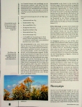Vorschauseite 5: Tees und Tinkturen bei häufigen chronischen Beschwerden: Schuppenflechte, Endometriose, Fibromyalgie und Long-COVID