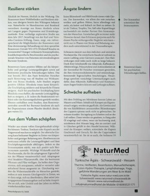 Vorschauseite 2: Rosige Aussichten Edle Strategien gegen Erschöpfung