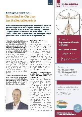 Vorschauseite 1: Ernsthaft Option im Arbeitsbereich