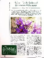 Vorschauseite 1: Safran - für die Seele und den inneren Alchemisten