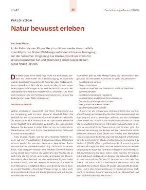 Vorschauseite 1: Wald-Yoga. Natur bewusst erleben