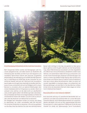 Vorschauseite 2: Wald-Yoga. Natur bewusst erleben