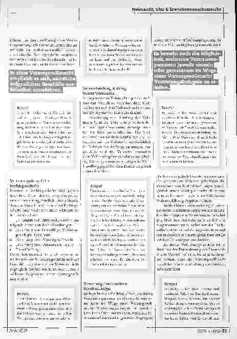 Vorschauseite 2: Grundlagen der Vollmachtsbzw. Auftragserteilung im Rahmen einer Vorsorgevollmacht