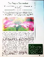 Vorschauseite 1: Der Purpur-Sonnenhut Echinacea purpurea: von der Signatur zur therapeutischen Anwendung
