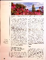 Vorschauseite 4: Der Purpur-Sonnenhut Echinacea purpurea: von der Signatur zur therapeutischen Anwendung