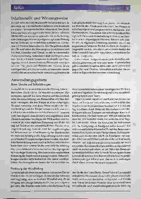 Vorschauseite 2: Die Arzneipflanze 2020: Der Echte Lavendel