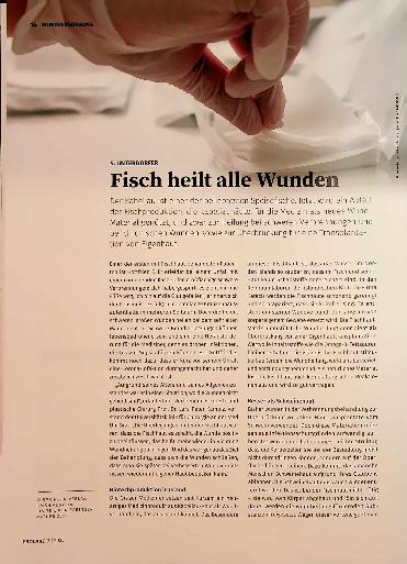 Vorschauseite 1: Fisch heilt alle Wundem
