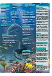Vorschauseite 5: Drei Nr. 80 Gesamtausgabe