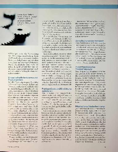 Vorschauseite 2: Nachhaltigkeit und Umweltschutz in der dermatologischen Praxis
