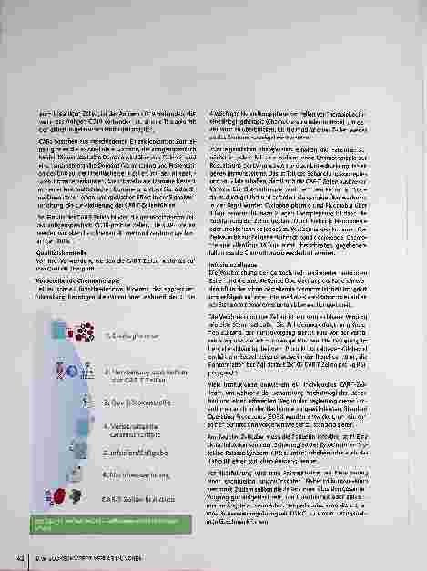 Vorschauseite 2: CAR-T-Zelltherapie: Ablauf und Herausforderungen für die Pflege