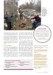 Vorschauseite 2: Den Wald mit allen Sinnen erfahren