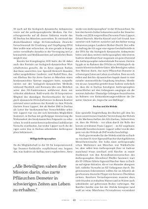 Vorschauseite 3: Wunden der Vergangenheit