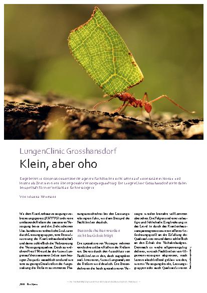 Vorschauseite 1: Lungenklinik Großhansdorf Klein, aber oho