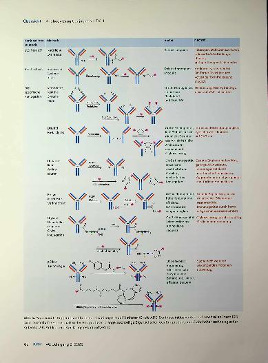 Vorschauseite 5: Antibody Drug Conjugates - Teil 1 New Kids on the Block? Nein, aber sie leben derzeit in starkem Maße auf