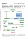 Vorschauseite 3: Das Takotsubo-Syndrom: Wenn das Herz vor lauter Stress nicht richtig pumpt.