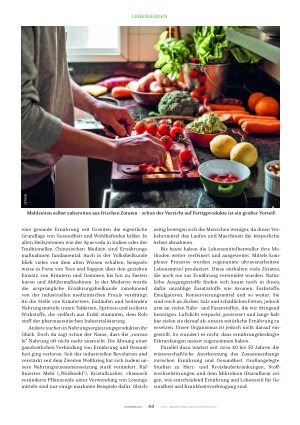 Vorschauseite 3: Stoffwechsel zwischen Balance und Entgleisung