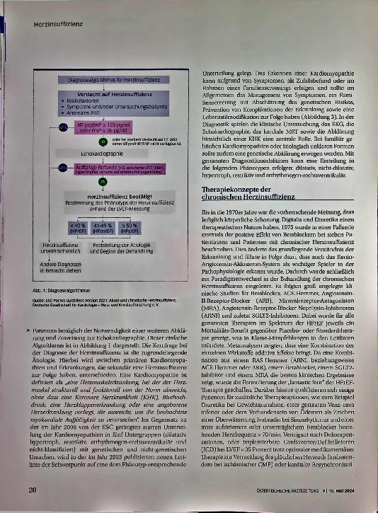 Vorschauseite 3: Herzinsuffizienz