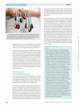 Vorschauseite 4: Präoperative Pflegevisite bei Patienten mit Migrationshintergrund