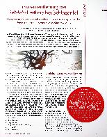 Vorschauseite 1: Implementierung der ReMoS-Leitlinie bei Schlaganfall: Umsetzung eines neurologischen Therapiekonzepts für die Phasen C und D in einer Rehabilitationsklinik.