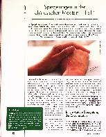 Vorschauseite 1: Spiegelungen in der chinesischen Medizin - Teil 1