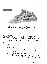 Vorschauseite 1: Zartes Stängelgemüse