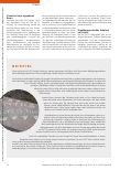 Vorschauseite 3: Kinder und Eltern pädagogisch, flexibel und individuell fördern.