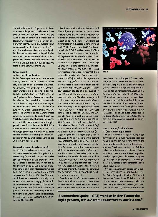 Vorschauseite 2: Zwischen Pseudoprogression und Tumorregression: Immuncheckpoint-Inhibitoren im Einsatz