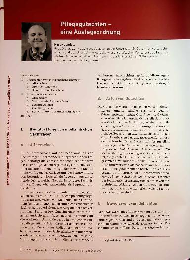 Vorschauseite 1: Pflegegutachten - eine Auslegeordnung
