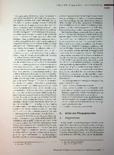 Vorschauseite 2: Pflegegutachten - eine Auslegeordnung