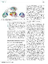 Vorschauseite 2: Das soziale Gehirn - 1. Evolution, funktionelle Komponenten, neuronale Implementierung