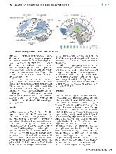 Vorschauseite 3: Das soziale Gehirn - 1. Evolution, funktionelle Komponenten, neuronale Implementierung